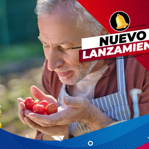 Cocina italiana