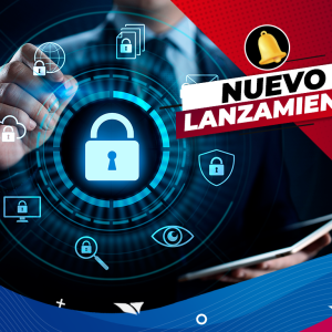 Ciberseguridad laboral y personal