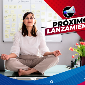 Estrategias personales para el control del estrés, burnout y otros ciclos psicosociales en el sector de la enseñanza